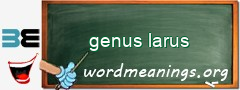 WordMeaning blackboard for genus larus
